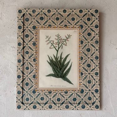 18th C. Weinmann Hand Colored Botanical Engraving in Gusto Blue Painted Frame III