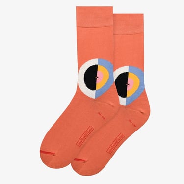 Socks | Hilma af Klint - The Swan Nr. 17