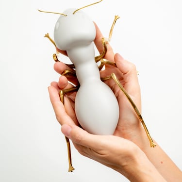 White Ceramic and Brass Ant