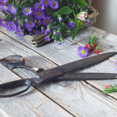 Vintage large metal shears / vintage scissors / metal sewing crafting shears / 12 inch shears / long blade shears / rustic industrial decor 