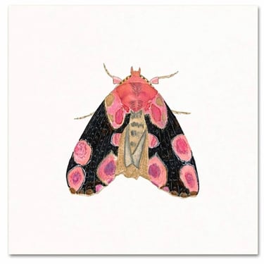 Snoogs &amp; Wilde Art | Moth #2