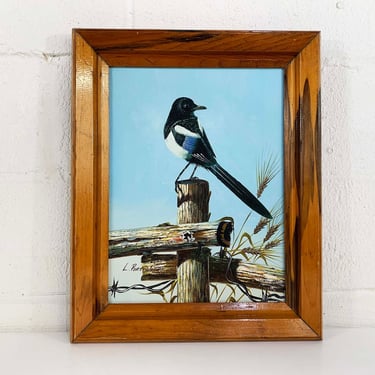 Vintage Eurasian Magpie Painting Original Art Audubon L. Portinger Bird Boho Wood Frame Framed 1970s Dopamine Wall Decor 