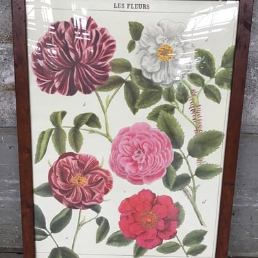 Framed French Flower Print (Seattle)