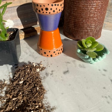 Hand Painted Mini Terracotta Pots (Set of Two) 