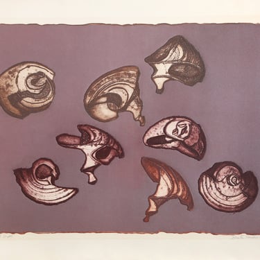 Shell Shapes by Benita Sanders, Etching, 1968 
