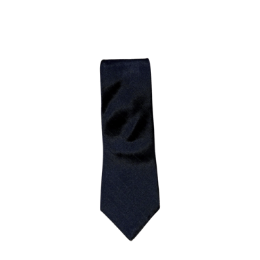 Ermenegildo Zegna Black Silk Men's Necktie