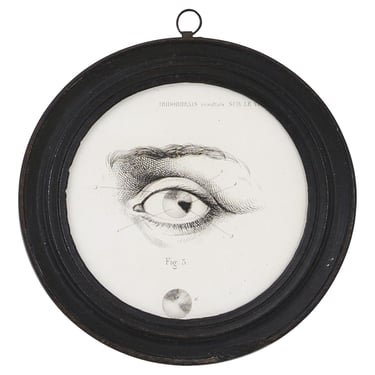 Antique Framed Eye Study II