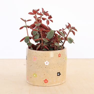 Ditsy Floral Ceramic Planter / Small Indoor Planter / Cactus Plant Pot / Succulent Plant Pot 