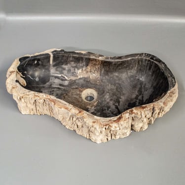 Contemporary Carved Petrified Stone Sink