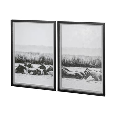 Water Horses III Wall Art