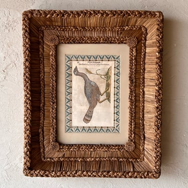Gusto Woven Frame with Aldrovandi Hand-Colored Ornithological Engraving XX