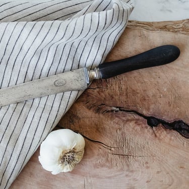 French Ebonized Carving Knife