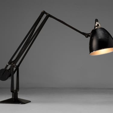 Counterbalance Desk Lamp