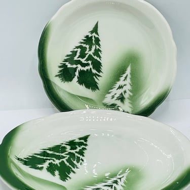 Rare Find Jackson China  Salad and Bread Plate. Charming air-brushed mountain lake scene  7