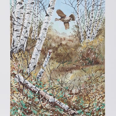 In the Birches by Allen Friedman Lithograph Grouse Bird Print Signed 