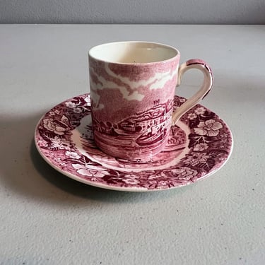 Vintage Palissy Pottery Pink Red Demitasse Cup and Saucer Thames River Scenes 