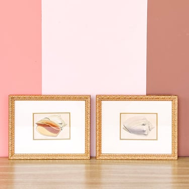 Pair of Sweet Shell Framed Prints