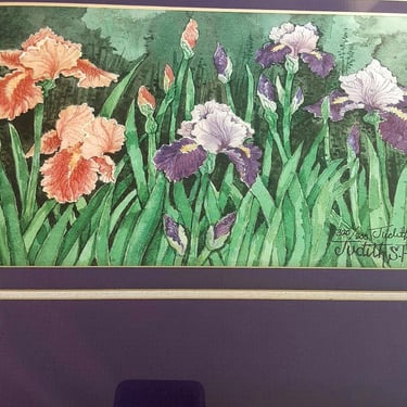 Iris Garden Watercolor Print By Judith Plucker - Framed Matted Botanical Artwork