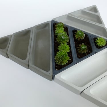 Concrete Succulent Planter Set-- Triangular 