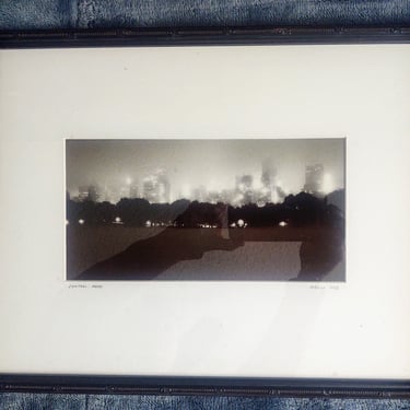 1990 Vintage Framed Black and White / Sepia Picture of Central Park New York by Michael Magill Vintage Art Wall Décor Home Décor 