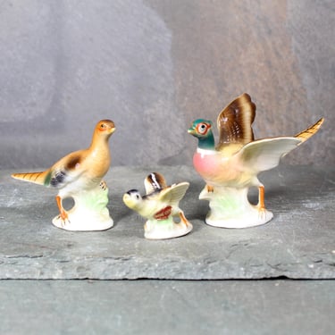 Mid-Century SHIKEN Pheasant Family Figurines | Set of 3 Bone China Figures | Beautifully Detailed | Made in Japan | Bixley Shop 