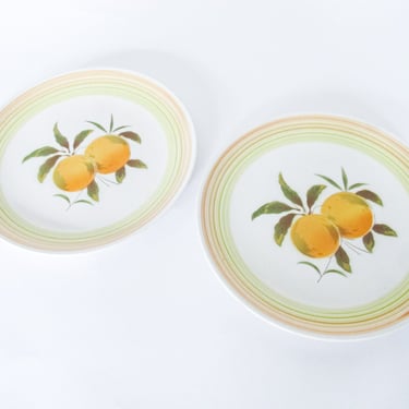 Harmony House Iron Stone Plates in Tangerine Made in Japan Set of 2 