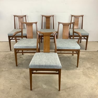Set of Six Mid-Century Walnut Dining Chairs From White Furniture 