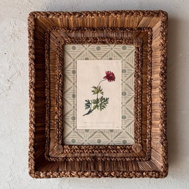 Gusto Woven Frame with Phillip Miller Engraving of Narrow-Leaved Garden Anemone circa 1807