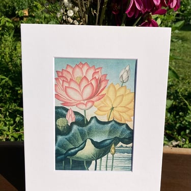 Sacred Lotus Print in White Matte