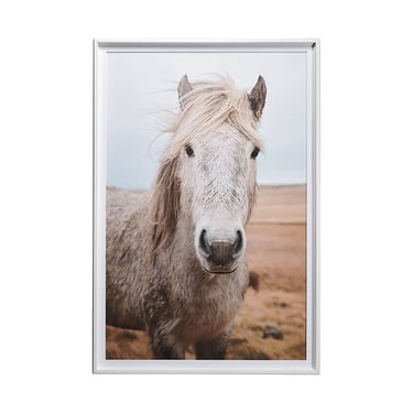 Heida Framed Horse Photograph