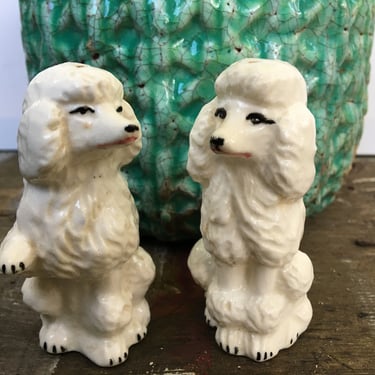 Vintage White Poodle Salt And Pepper Shakers, Poodle Lovers 