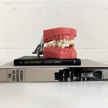 Vintage Columbia Dentoform New York Hinged Posable Teaching Model Teeth Dental Gag Gift #562 1950s 