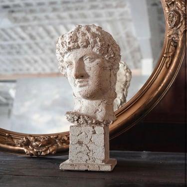 vintage neoclassical terra cotta bust
