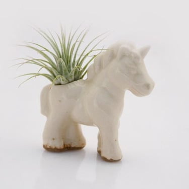 Unicorn Air plant holder, Mini planter, ceramic unicorn planter, air plant pod 