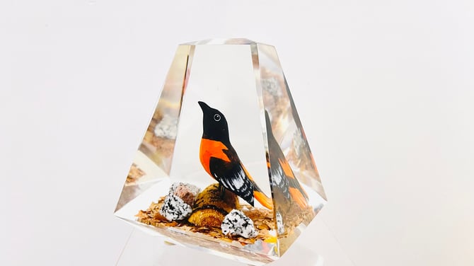 Vintage 1980s Modernist Lucite Sculpture Bird Loriot Oriole Acrylic Hand Wood Carved Paperweight Unique Canada 
