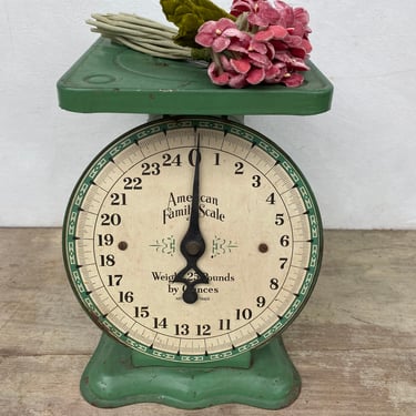 Vintage Green American Family Countertop Scale, 25 Pound Kitchen Scale, Farmhouse Decor, Cottage, Industrial 