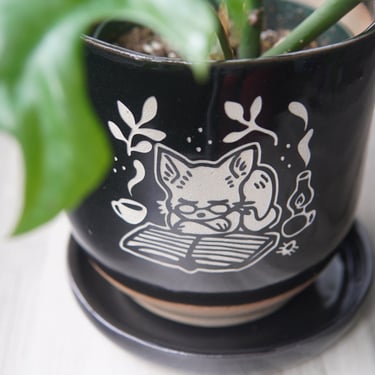 Book Cat Planter - Black 5" plant pot with drainage + saucer 