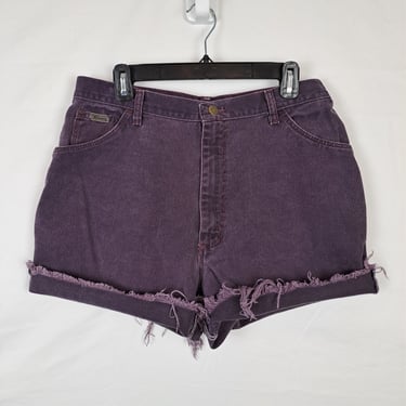 Vintage 90s Purple High Rise Denim Shorts, Size 32 Waist 