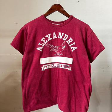 Sm Med, Vintage 1960s Champion Reversible Physical Education Shirt, Alexandria Minnesota, Red 