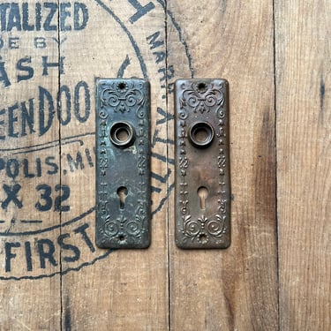 Pair of 1890s Pressed Door Plates 