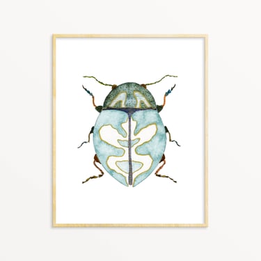 Snoogs &amp; Wilde Art - Beetle #17 ~ Art Print