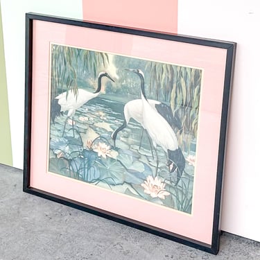 Tropical Bird Framed Print