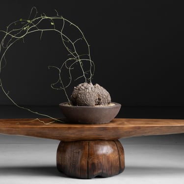 Vines Bonsai / Cedar Coffee Table