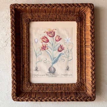 Gusto Woven Frame with Besler Engraving of Tulips II