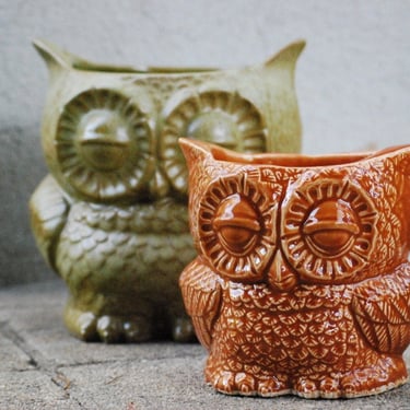 Large ceramic owl planter ,Autumn decor 