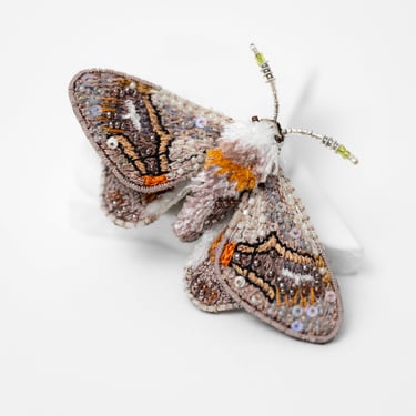 Drepanid Moth Embroidered Pin