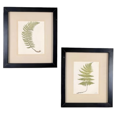 Victorian 1885 English Chromolithograph Fern Pair, Framed 