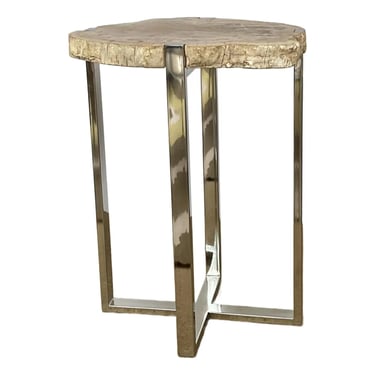 Organic Modern Petrified Wood Side Table