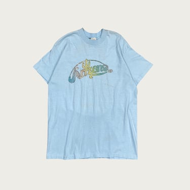 (L) Arizona Shimmer Graphic Tee