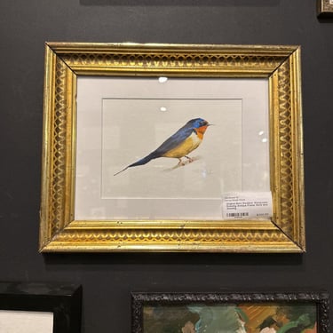 Original Barn Swallow Watercolor Drawing Antique Frame 10x12 bird drawing